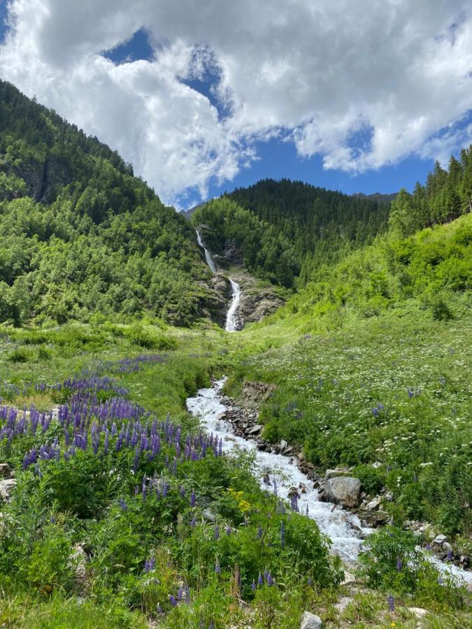 Apart Wiesenplatzl Каунерталь Экстерьер фото